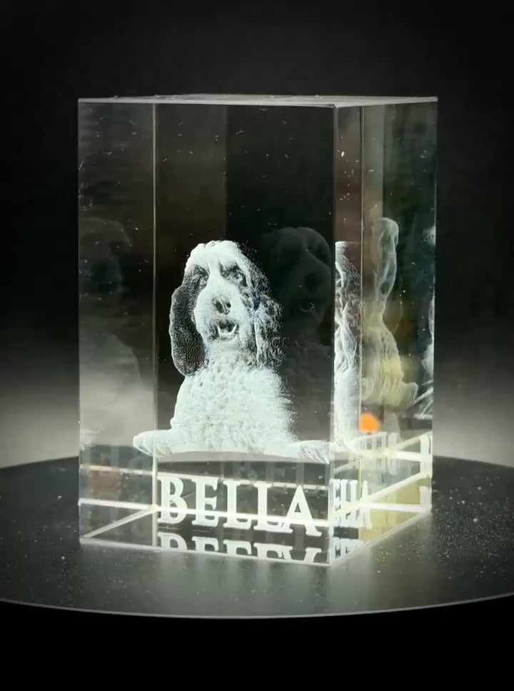 3D Internal Crystal Engraving Cube